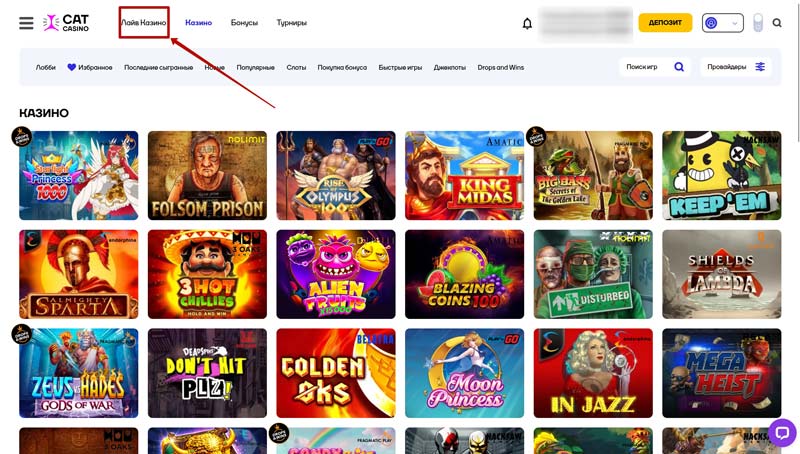 Лайв-игры в Cat Casino